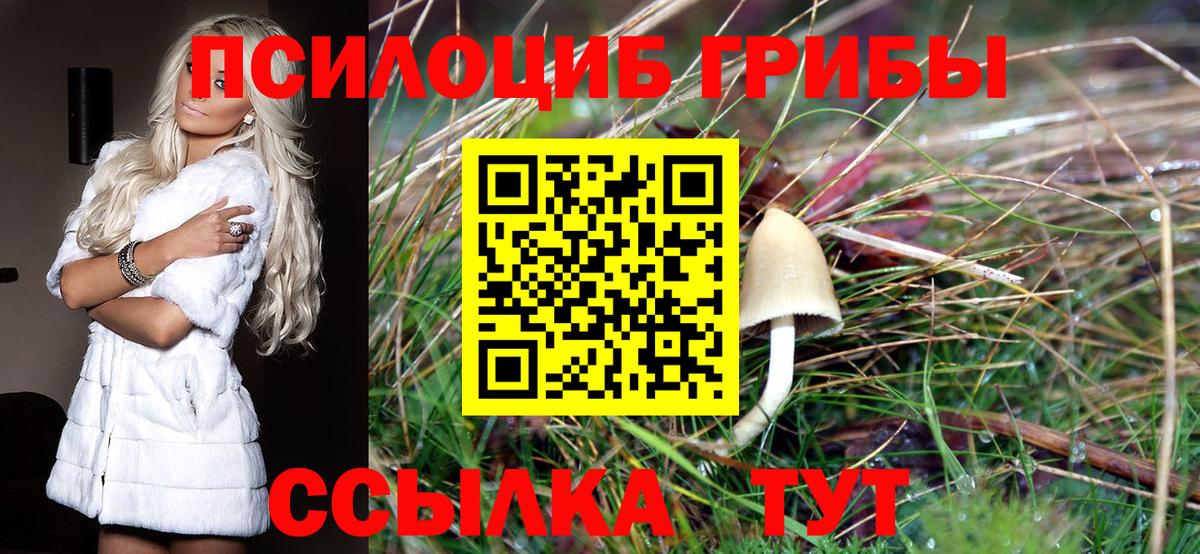 Галлюциногенные грибы Magic Shrooms Ахтубинск