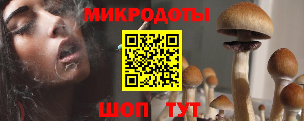 Псилоцибиновые грибы мицелий  купить наркоту  Ахтубинск  Вход с VPN 